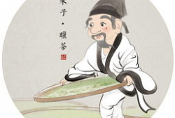 白茶的漫画,茶香四溢的奇幻旅程