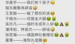 从年头到年尾娱乐圈吃瓜总结,从年初到年尾的精彩瞬间