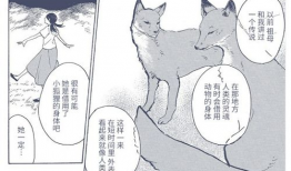 ntr漫画,揭秘人性欲望的暗面