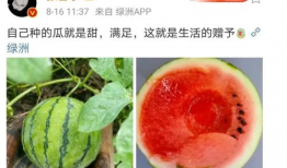 在哪里可以吃娱乐圈的瓜,揭秘各大热门餐厅的独家瓜料