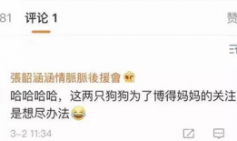 读心吃瓜娱乐圈系统,读心吃瓜，解码明星内心世界