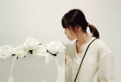 麻豆玛丽莲,时尚界的璀璨明星