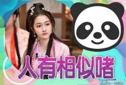 娱乐圈吃瓜爆料小说推荐发疯,吃瓜爆料，揭秘明星背后的疯狂故事