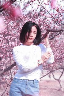 麻豆药,揭秘古老草药的现代应用与神奇疗效